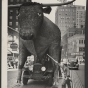 Babe the Blue Ox in a parade in Minneapolis