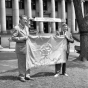 Minnesota state flag, 1958