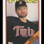 Bert Blyleven baseball card