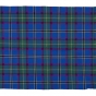 Official Minnesota tartan