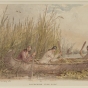 Color image of American Indian women gathering rice, 1849–1855. Drawing by Seth Eastman.