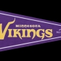 Color image of a Felt Minnesota Vikings pennant commemorating the team's final season at the Hubert H. Humphrey Metrodome, distributed at the final football game at the Dome on December 29, 2013.