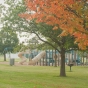 Photograph of Selvig Park in the Fall