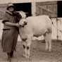 Black and white photograph of a 4-H Club exhibitor with a dairy steer at the Murray County Fair, ca. 1920s.