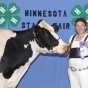 Color image of 4-H club member Hannah Rolf showing off her three-year-old Holstein dairy cow at the Minnesota State Fair, 2015. 