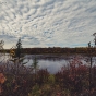 View of the Rainy River inside Franz Jevne State Park