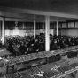 Black and white photograph of a large lecture room at University of Minnesota with ears of corn laid out for judging by students. Photographed by Harry D. Ayer c.1910.