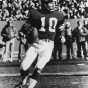 Black and white photograph of Fran Tarkenton (#10) quarterback for the Minnesota Vikings, ca. 1975. 