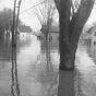 Black and white photograph of flood at Chaska, 1965.