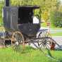 Harmony Amish Buggy