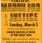 Anti-power-line rally poster