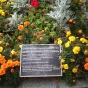 Color image of the identification plaque at the burial site of Mother Benedicta Riepp in the cemetery at Saint Benedict’s Monastery, St. Joseph, 2015.