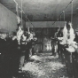 Black and white photograph of students plucking feathers from chickens during a class about how to judge and butcher livestock, 1920s.