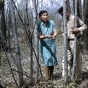 Maude and Martin Kegg harvesting basswood bark