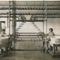 Women at work at Griggs, Cooper & Company