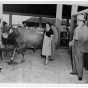 Photograph of Coya Knutson and a cow