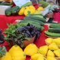 Dream of Wild Health table at a farmers’ market