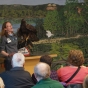 Color image of Donald, a male golden eagle and National Eagle Center ambassador, participating in the center's "Meet the Eagles" program.