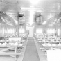 Black and white photograph of a camp dining hall, Company 707, Civilian Conservation Corps camp at Deer River, ca. 1936.