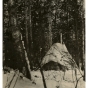 Wigwam on Nett Lake Reservation of Ojibwe, 1918.