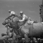 Black and white photograph of workers removing the gold leaf on the Quadriga at the Minnesota State Capitol, St. Paul, 1949.