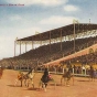 Colored postcard depicting harness-racing at the Minnesota State Fair Grandstand, c. 1910.