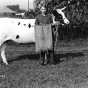 Black and white photograph of 4H Calf Club champion and his calf, 1923. 