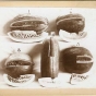 Black and white photograph of watermelon display at the Minnesota State Fair, 1895. 