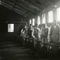 Black and white photograph of an Agriculture Extension, Short Course in Blacksmithing; men at the forges, 1908.