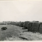 Stacked Flax Bales, 1950