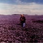 Carl Schneider in flax field, 1970.