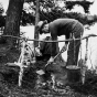 Forest Ranger demonstrating fire clean-up