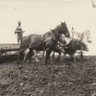 Black and white photograph of Frank Schott drilling grain, c.1920s.