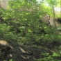 Rocky outcrop inside Franz Jevne State Park