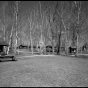 Southwest section of Civilian Conservation Corps Camp Rabideau F-50, looking northeast, with (left to right) picnic shelter, barracks, forest service officer’s quarters, and hospital. Photo by Jerry Mathiason, 1994. From box 1 (144.G.8.4F) of Historic American Buildings Survey records related to Minnesota structures, 1882-2001, 1883. Manuscripts Collection, Minnesota Historical Society, St. Paul.