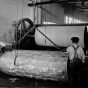 Black and white photograph of of a lumber mill, ca. 1915.