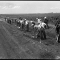 Black and white photograph of drought farmers working on a farm to market road in Foster Township, south of Beardsley in Big Stone County, 1936.