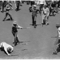 Men swinging bats and sticks during clash between striking truckers and a citizens’ army, Minneapolis, May 21, 1934. Pictured in the foreground are Basil Hurt, Merle Kerr, and Frank Vocks.