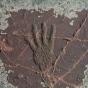 Hand Petroglyph