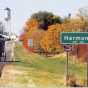 Amish Buggy Entering Harmony, Minnesota