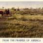 Color illustration of a field of wire grass during harvest time c.1901.