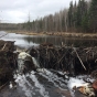 Color image of a Beaver dam in Lake Vermilion–Soudan Underground Mine State Park. Photograph by Minnesota Department of Natural Resources Staff, May 21, 2014.