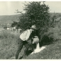 A worker pours salt on a barberry bush in Minnesota, ca. 1925. Applying salt to kill a bush’s roots was the main method of destroying them before the widespread use of herbicides in the 1950s. 