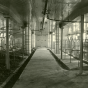 Black and white photograph of the inside of the dairy barn at the Northwest Experiment Station.   