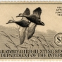 Federal Duck Stamp Design