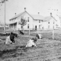 Black and white photograph of children at a Native American boarding school work in a garden plot, c.1890s.