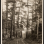 Road sign warning of “narrow, winding, hilly road, 25 miles per hour” along the Gunflint Trail. Photograph by R. O. Fletcher, ca. 1925. 