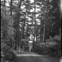 A car on the Gunflint Trail road. Photograph by Monroe P. Killy, June 19, 1932.