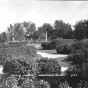 Photograph of Selvig Park in 1950