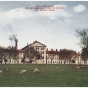 Sheep grazing on the grounds of St. Peter State Hospital